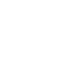 geo-lion-inverse-white.png